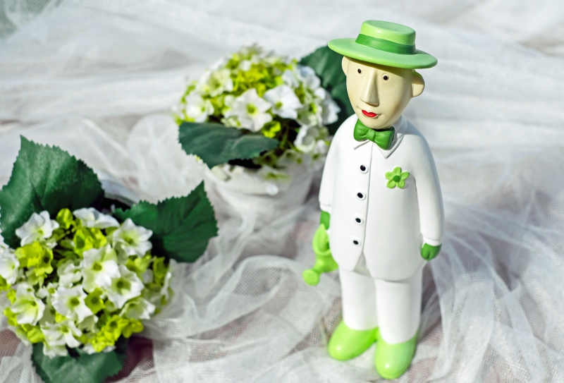 vitrine-FONTAN-min_man-person-flower-green-toy-fig-546529-pxhere.com